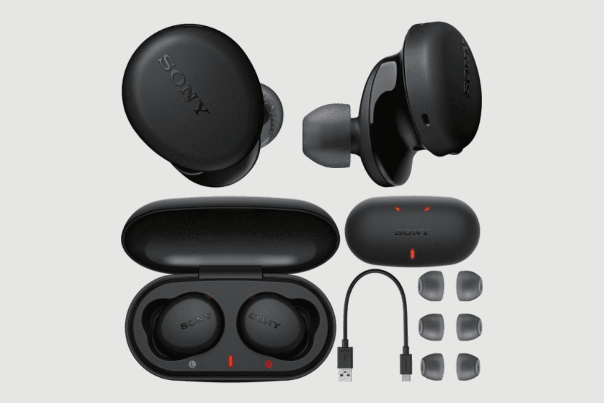 Sony WF-XB700 Truly Wireless Bluetooth Headphones